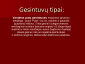 Gesintuvai skaidrės 3 puslapis