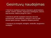 Gesintuvai skaidrės 6 puslapis