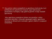 Gesintuvai skaidrės 8 puslapis