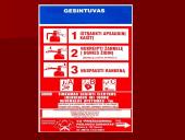 Gesintuvai skaidrės 9 puslapis