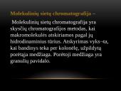 Molekulinių sietų chromatografinė analizė 2 puslapis