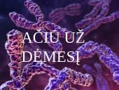 Molekulinių sietų chromatografinė analizė 17 puslapis