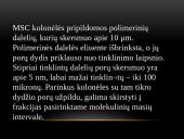 Molekulinių sietų chromatografinė analizė 6 puslapis