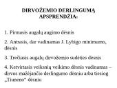 Žemės ūkio augalų derlingumas 2 puslapis