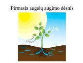 Žemės ūkio augalų derlingumas 3 puslapis