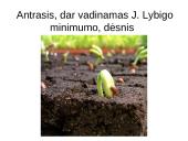 Žemės ūkio augalų derlingumas 4 puslapis