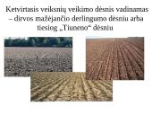 Žemės ūkio augalų derlingumas 6 puslapis