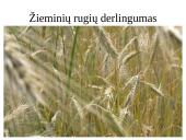 Žemės ūkio augalų derlingumas 7 puslapis