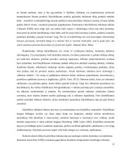 Kūrybiškumas knygų leidyboje: Andriaus Tapino “Vilko valanda” atvejo analizė 13 puslapis