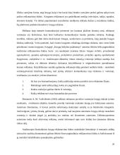 Kūrybiškumas knygų leidyboje: Andriaus Tapino “Vilko valanda” atvejo analizė 20 puslapis