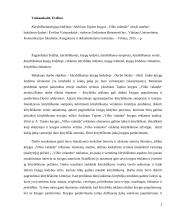 Kūrybiškumas knygų leidyboje: Andriaus Tapino “Vilko valanda” atvejo analizė 3 puslapis
