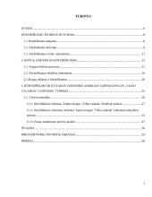 Kūrybiškumas knygų leidyboje: Andriaus Tapino “Vilko valanda” atvejo analizė 5 puslapis