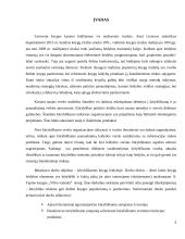 Kūrybiškumas knygų leidyboje: Andriaus Tapino “Vilko valanda” atvejo analizė 6 puslapis