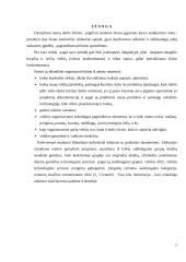 Gamybinio padalinio (įmonės) kūrimas ir organizavimas  2 puslapis