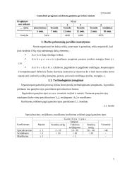 Gamybinio padalinio (įmonės) kūrimas ir organizavimas  5 puslapis