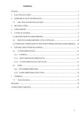 Multikultūrinė komunikacija ir vadyba karinėje organizacijoje/kariuomenėje 2 puslapis