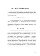 Multikultūrinė komunikacija ir vadyba karinėje organizacijoje/kariuomenėje 11 puslapis