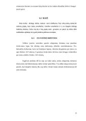 Multikultūrinė komunikacija ir vadyba karinėje organizacijoje/kariuomenėje 13 puslapis