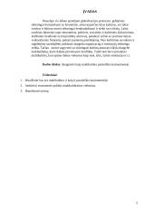 Multikultūrinė komunikacija ir vadyba karinėje organizacijoje/kariuomenėje 3 puslapis