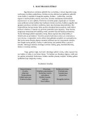 Multikultūrinė komunikacija ir vadyba karinėje organizacijoje/kariuomenėje 4 puslapis