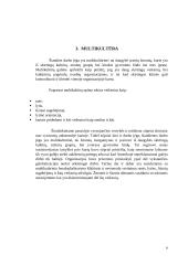 Multikultūrinė komunikacija ir vadyba karinėje organizacijoje/kariuomenėje 6 puslapis