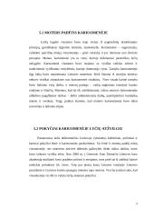 Multikultūrinė komunikacija ir vadyba karinėje organizacijoje/kariuomenėje 9 puslapis