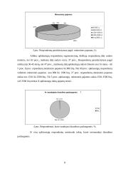 Rinkodaros komplekso elementų efektyvumo vertinimo rinkos tyrimas: UADB "ERGO Lietuva" 8 puslapis
