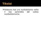 Nusikalstama veika 2 puslapis