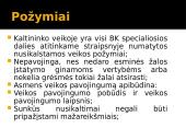 Nusikalstama veika 13 puslapis