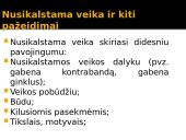 Nusikalstama veika 15 puslapis