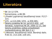 Nusikalstama veika 17 puslapis