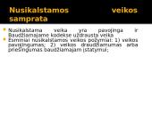 Nusikalstama veika 4 puslapis