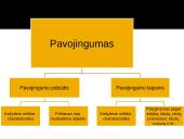 Nusikalstama veika 6 puslapis