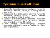 Nusikalstama veika 8 puslapis