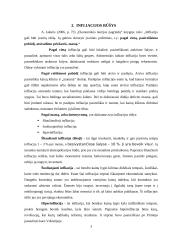 Infliacija Lietuvoje, samprata, rūšys. 4 puslapis