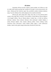 Infliacija Lietuvoje, samprata, rūšys. 9 puslapis