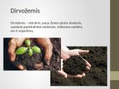 Dirvožemio užterštumas 2 puslapis