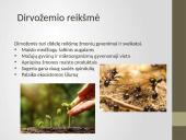 Dirvožemio užterštumas 3 puslapis