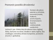 Dirvožemio užterštumas 6 puslapis