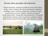 Dirvožemio užterštumas 7 puslapis