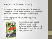 Dirvožemio užterštumas 8 puslapis