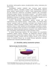 Ikimokyklinio ugdymo įstaigų veiklos vadybos tyrimai 19 puslapis