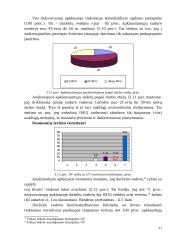 Ikimokyklinio ugdymo įstaigų veiklos vadybos tyrimai 20 puslapis