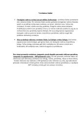 Personalo vertinimas ir kontrolė 6 puslapis