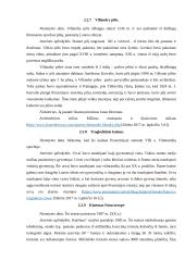 Luaros slėnio pilys 11 puslapis