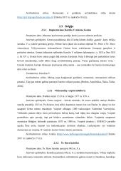 Luaros slėnio pilys 13 puslapis