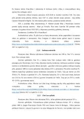 Luaros slėnio pilys 9 puslapis