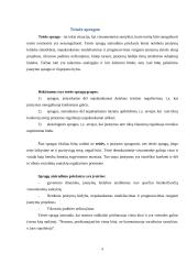 Teisės spragos ir jų šalinimo būdai 4 puslapis