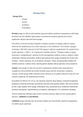 Teisės spragos ir jų šalinimo būdai 5 puslapis