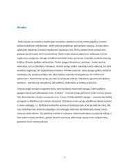 Teisės spragos ir jų šalinimo būdai 9 puslapis